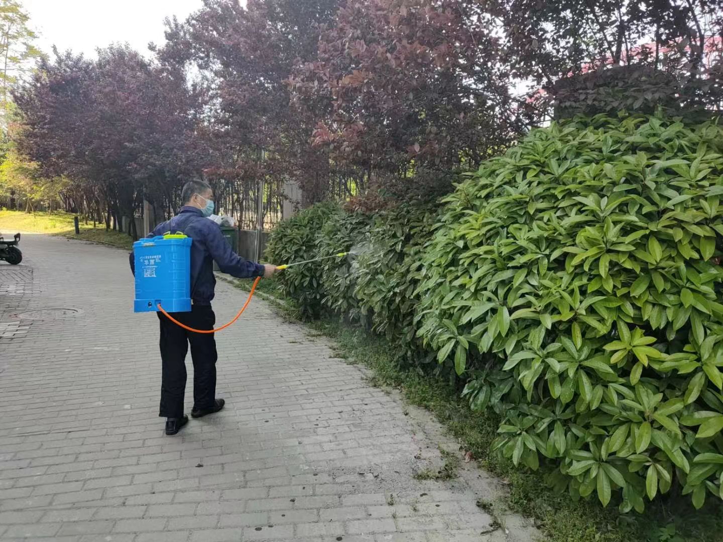 物業條例潤物無聲，怡緣小區春滿家園 ——共繪美好生活新篇章